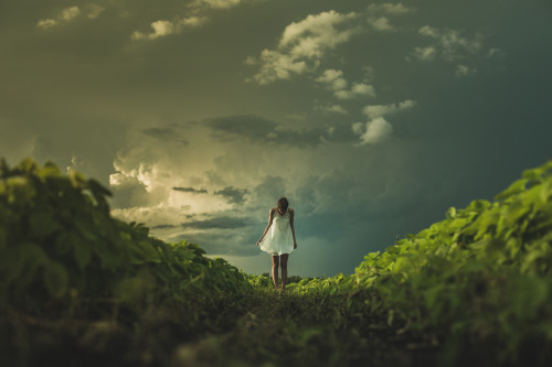 Taken by Matthew Wiebe | Download
