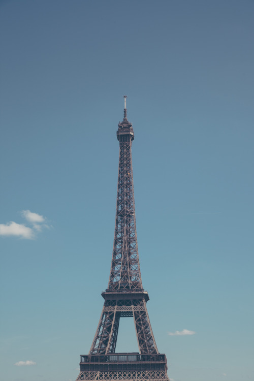 Taken by Anthony Delanoix | Download