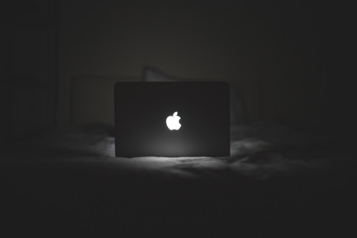 Taken by Luis Llerena | Download