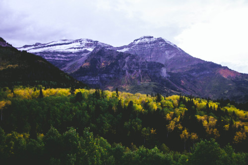 Taken by Abigail Keenan | Download