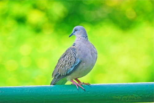 Taken by Danist Soh | Download