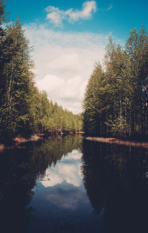 Taken by Anton Romanov | Download
