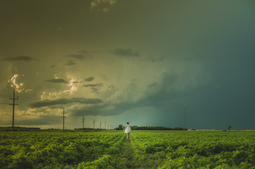 Taken by Matthew Wiebe | Download