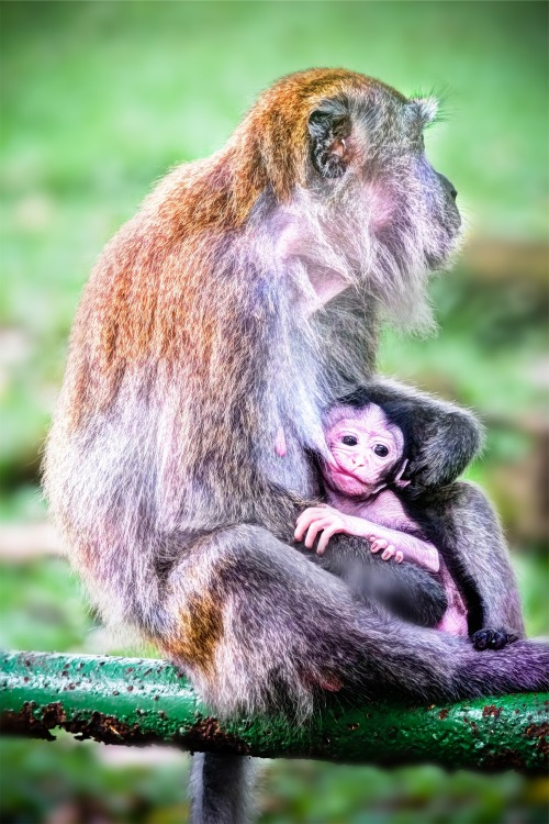Taken by Danist Soh | Download