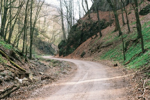 Taken by Danka & Peter | Download
